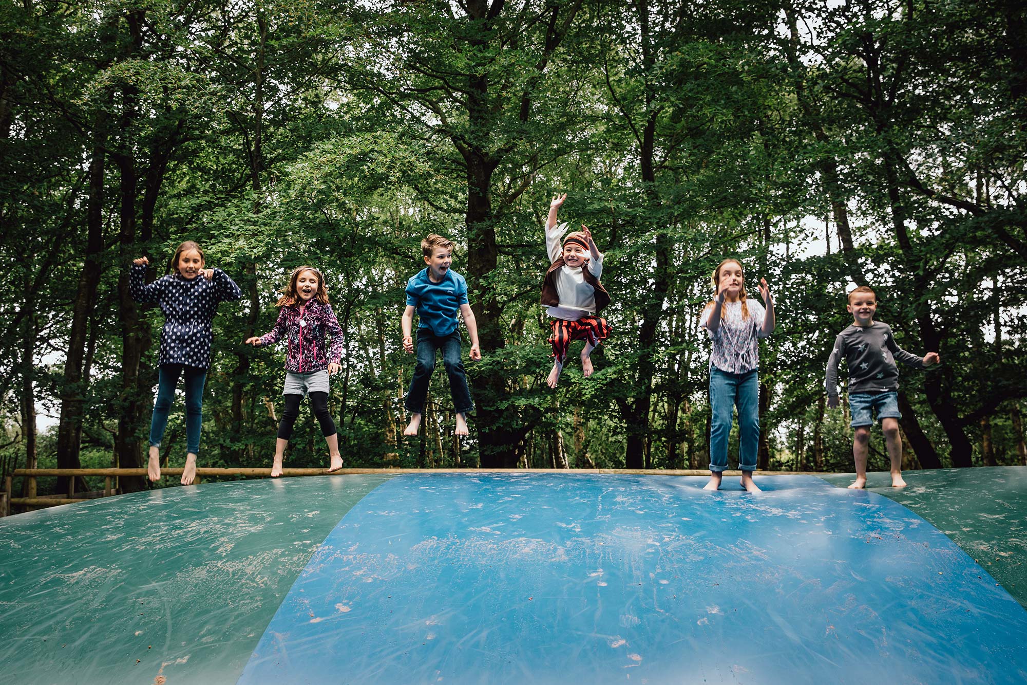Explore GreenWood Family Park: Solar Power, People Power & Wales' Longest Sledge Run